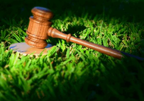 De la monitorizare la schimbare