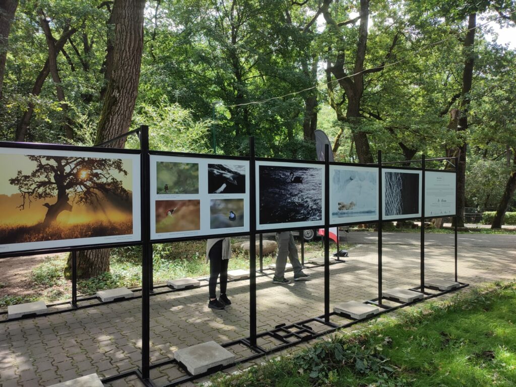 Read more about the article Expoziția revine peste o lună