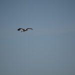 Încă 4 reabilitări cu succes