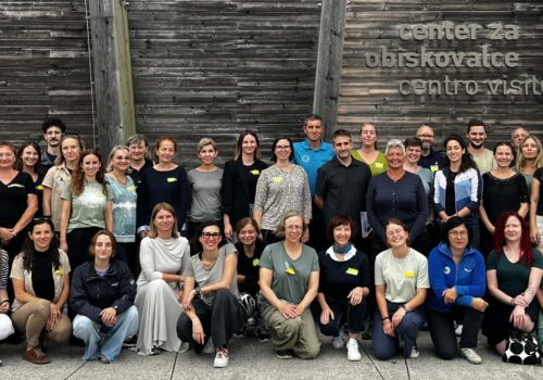 CREA+BIRD zboară împreună cu păsările către un viitor mai sustenabil!