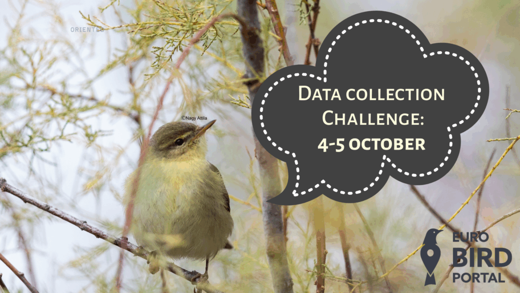 Read more about the article Ajută în colectarea datelor, ajută natura!