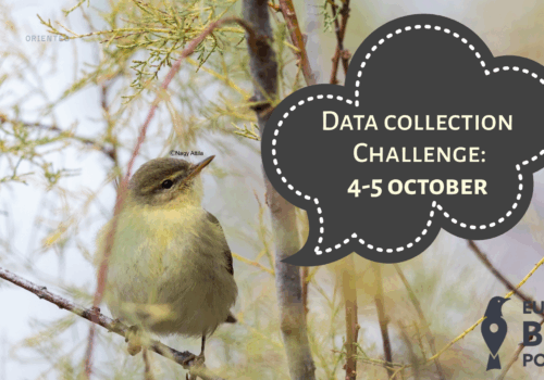 Segíts az adatgyűjtésben, segíts a természetnek!