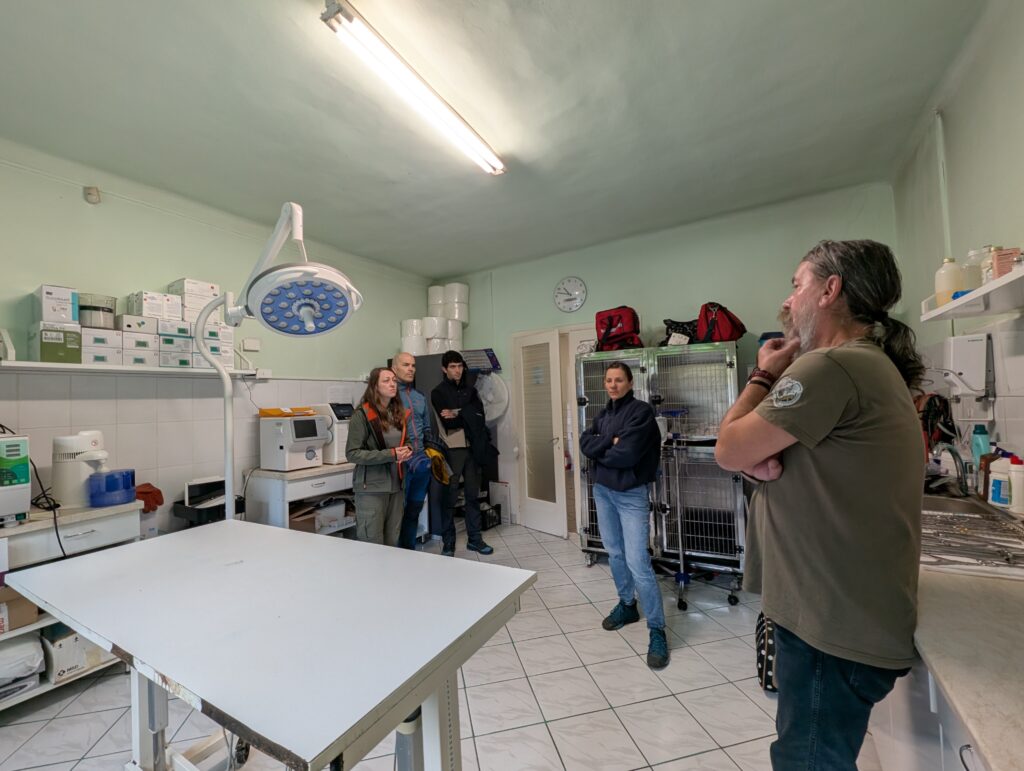 Read more about the article Vizită veterinară din Asturias