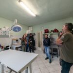 Vizită veterinară din Asturias