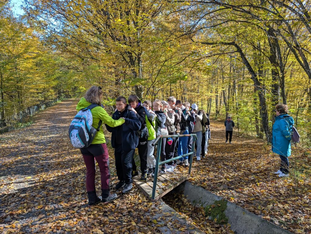 Read more about the article Descoperind natura cu ajutorul simțurilor 