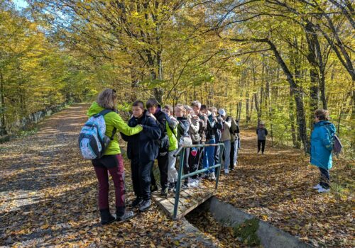 Descoperind natura cu ajutorul simțurilor 