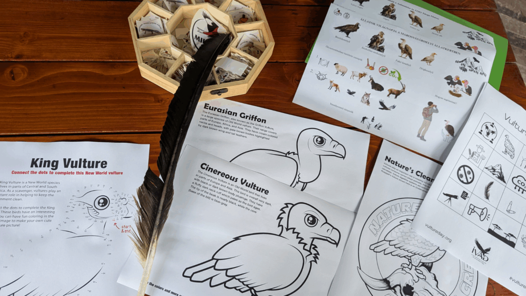 Read more about the article  O zi dedicată vulturilor 