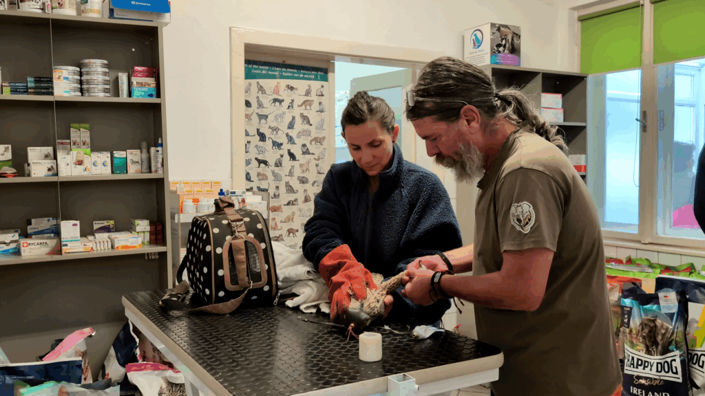 Read more about the article A sokk után remény