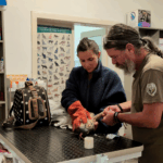 După șoc, speranță