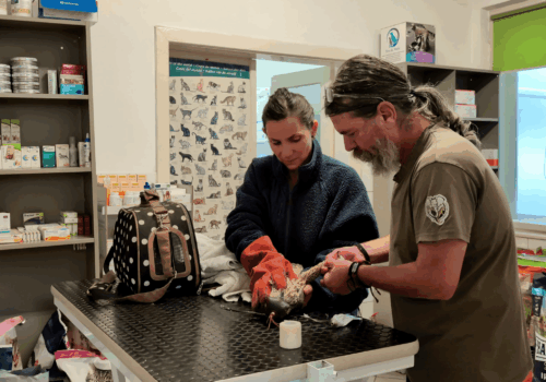 A sokk után remény