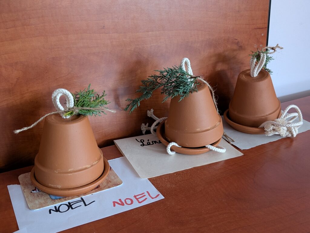 Read more about the article Păsări fericite, familii creative!