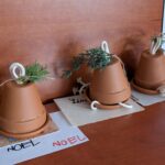 Păsări fericite, familii creative!