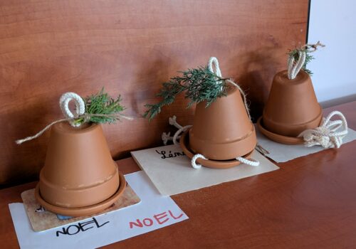 Păsări fericite, familii creative!