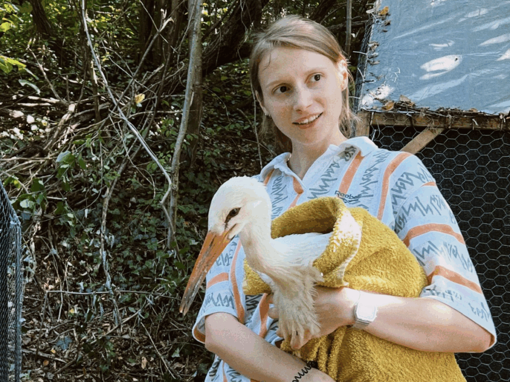 Read more about the article Mâini salvatoare: Geo Lupu 