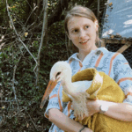 Mâini salvatoare: Geo Lupu 