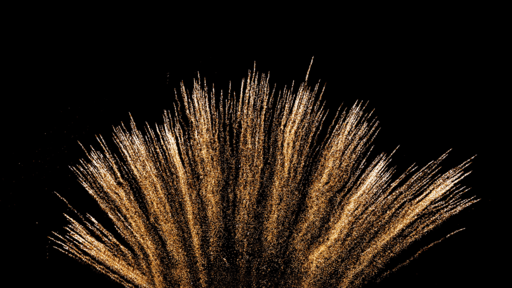 Read more about the article Urban birds and fireworks