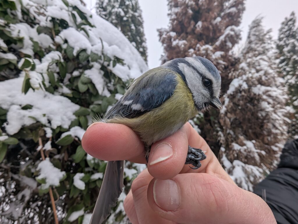 Read more about the article The excitement of the first encounter