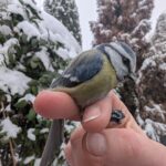 Az első találkozás izgalmai