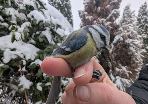 Az első találkozás izgalmai