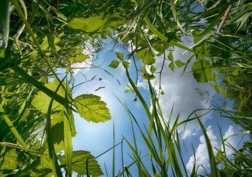 A nagy ürgeles küldetés indul!