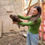 Free after three days