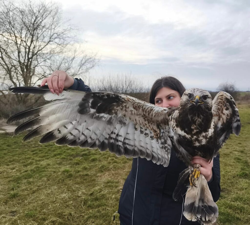 Read more about the article Sometimes it’s luck