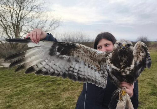 Sometimes it’s luck