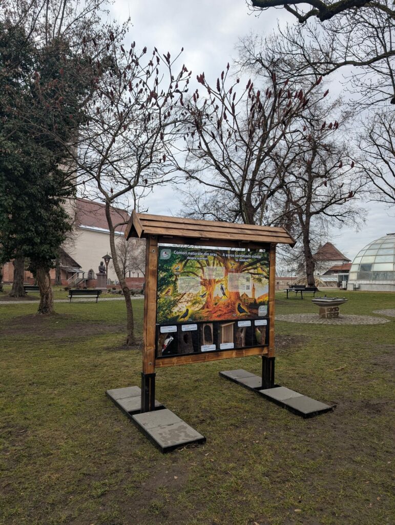 Read more about the article A gift from the community to the community