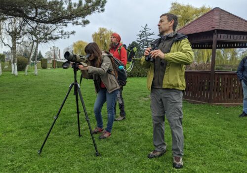 Terepre megyünk, tarts te is velünk!