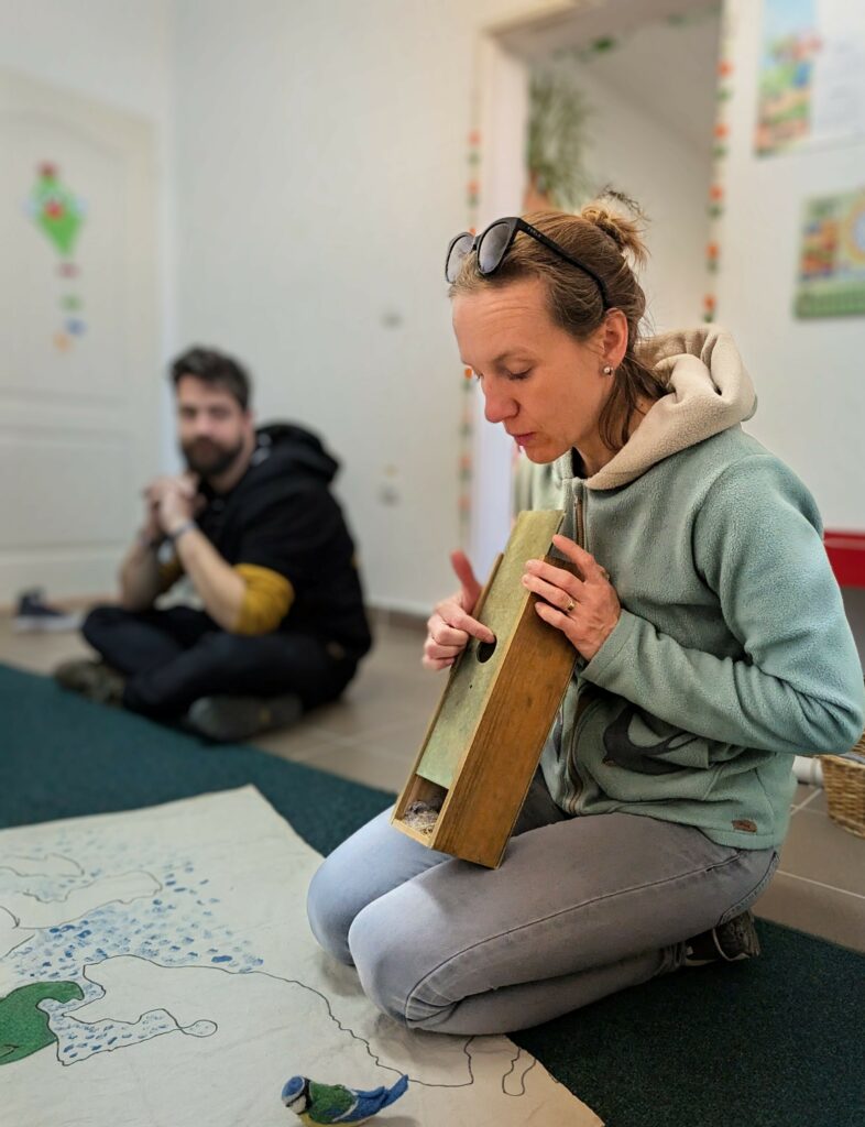 Read more about the article The life of birds during springtime