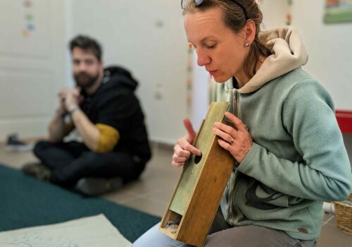 Viața păsărilor primăvara