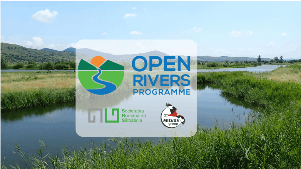 Read more about the article WEBINAR: Identificarea barierelor artificiale în Bazinul Superior al Mureșului