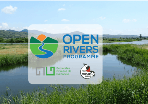 WEBINAR: Identificarea barierelor artificiale în Bazinul Superior al Mureșului