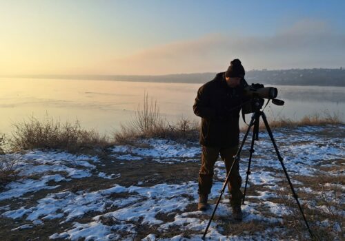 Întâlnire anuală de monitoring