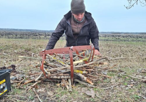  Parlagi sas: biztató szezonkezdet