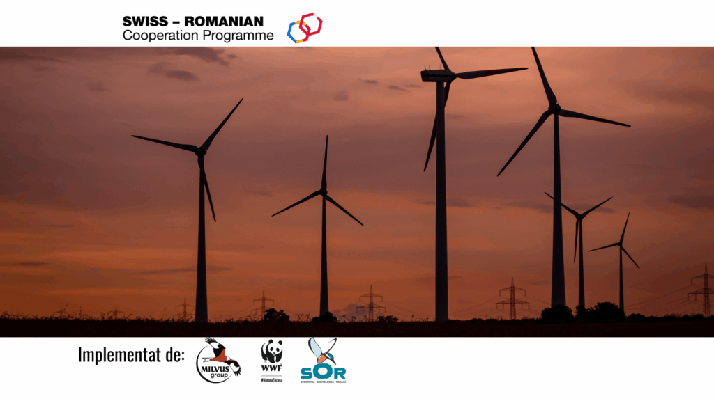 Read more about the article Megújuló energia és természet egyensúlyban – RENBAL