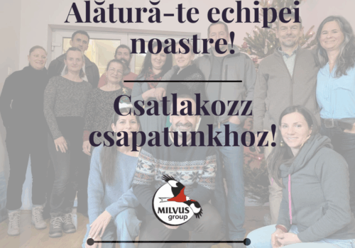 Căutăm Director de conservare